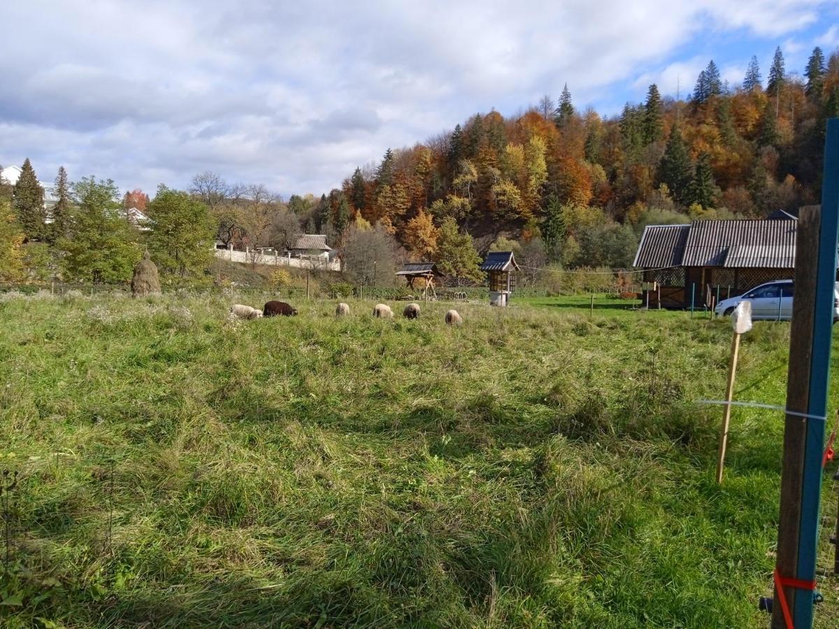 Садиба Федорчуків За Рікою1 Sheshory Exteriör bild